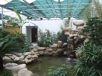 生态餐厅